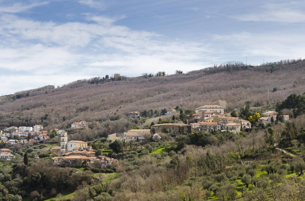 Al Casale Dei Nonni Bed and Breakfast Laureana Cilento Buitenkant foto